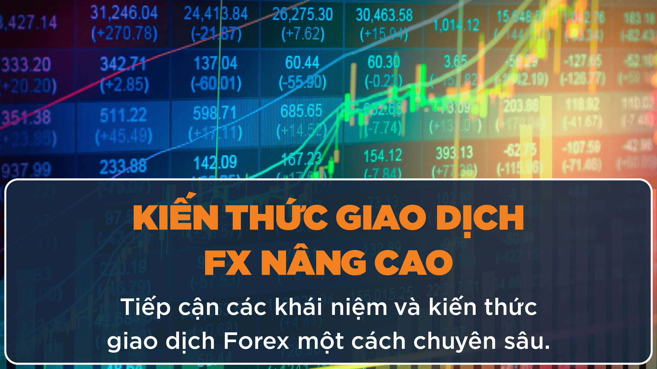 Kiến thức Trader nâng cao, bí kíp thực tiễn chuyên sâu khi giao dịch