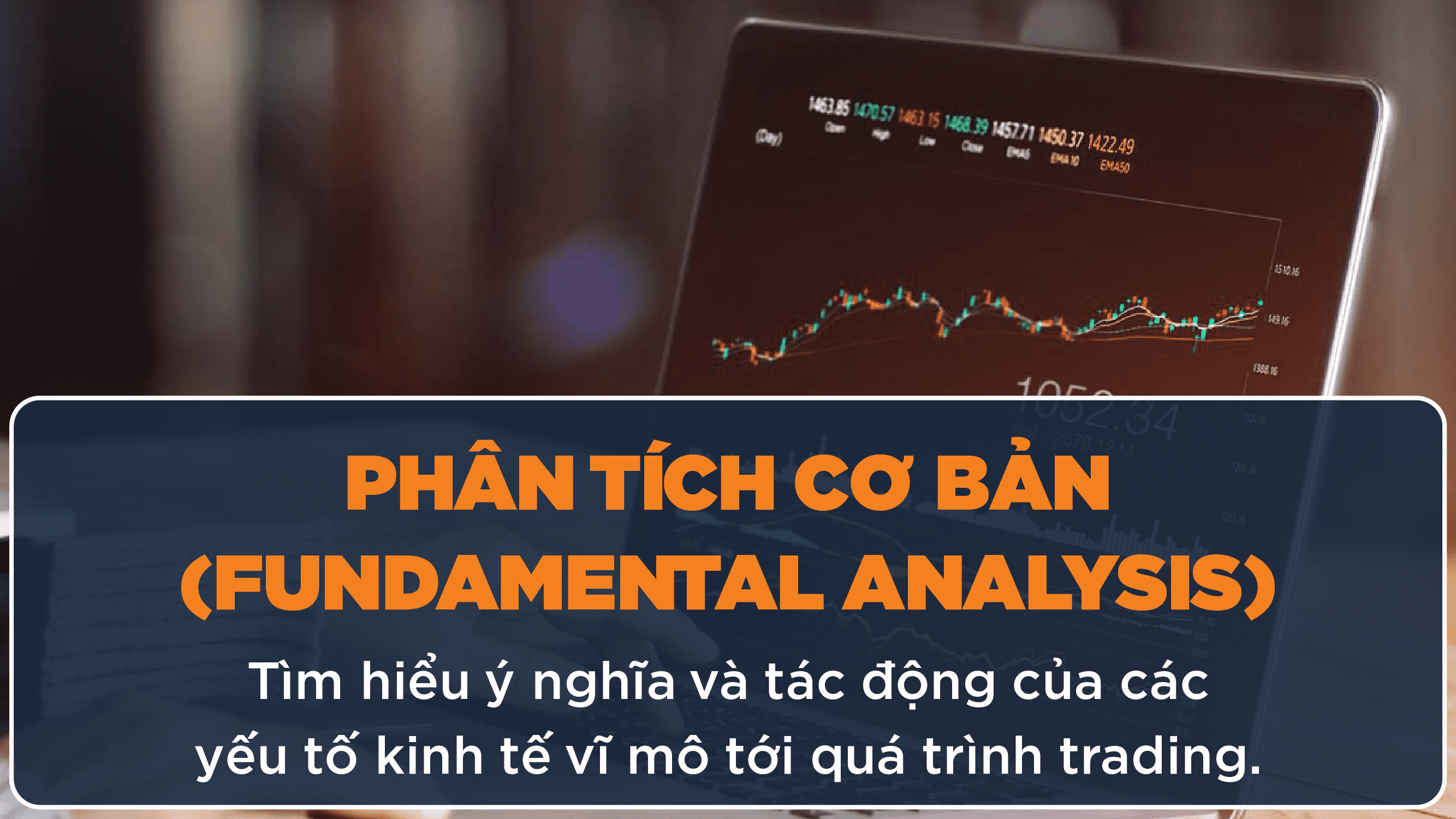 Phân tích cơ bản cho Trader, kiến thức từ dữ liệu biểu đồ giao dịch