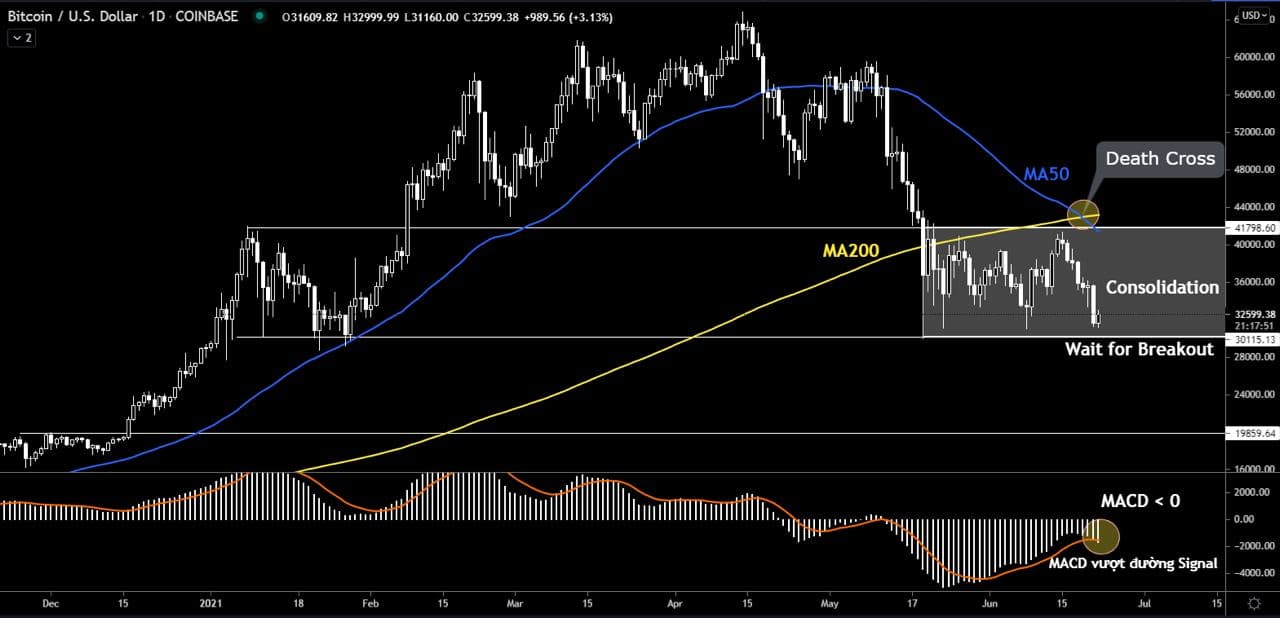 BTC/USD Daily Chart