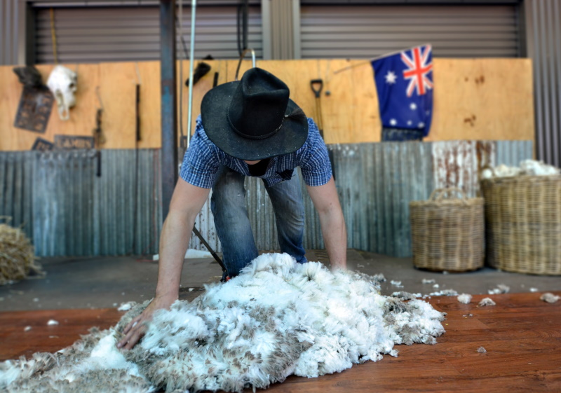 Australian Wool Innovation to trial blockchain | Materials &amp; Production  News | News