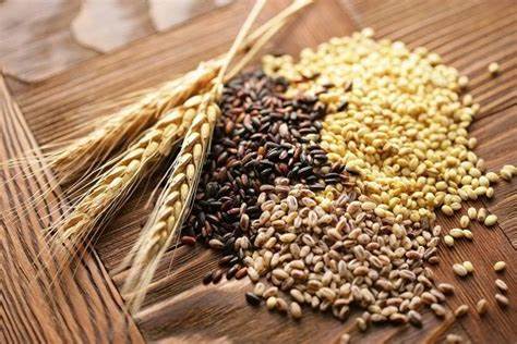 Chiến tranh gây lo ngại đứt gãy nguồn cung lương thực và thay đổi dòng chảy lúa mì toàn cầu! Chiến tranh gây lo ngại đứt gãy nguồn cung lương thực và thay đổi dòng chảy lúa mì toàn cầu!