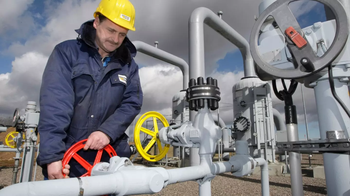 Germany's gas reserves are at 'worrying' levels, admits government |  Euronews