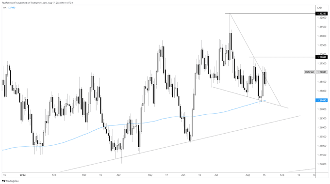 usd/cad daily chart