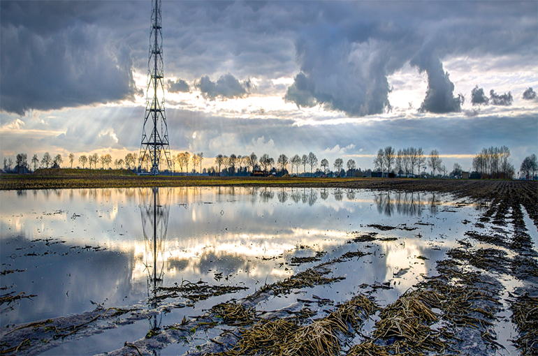 DUtch TTF: To index or not to – Magnus Commodities
