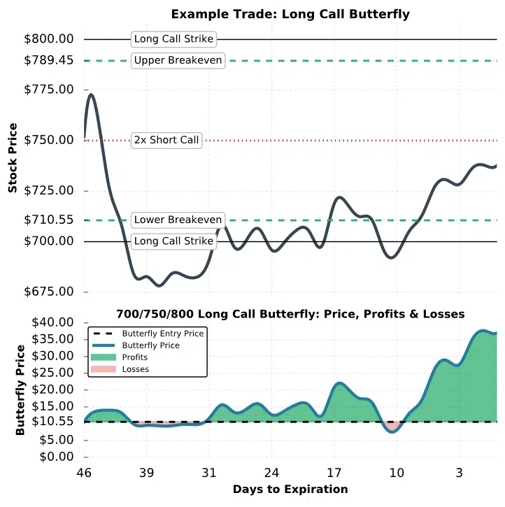 long butterfly with calls