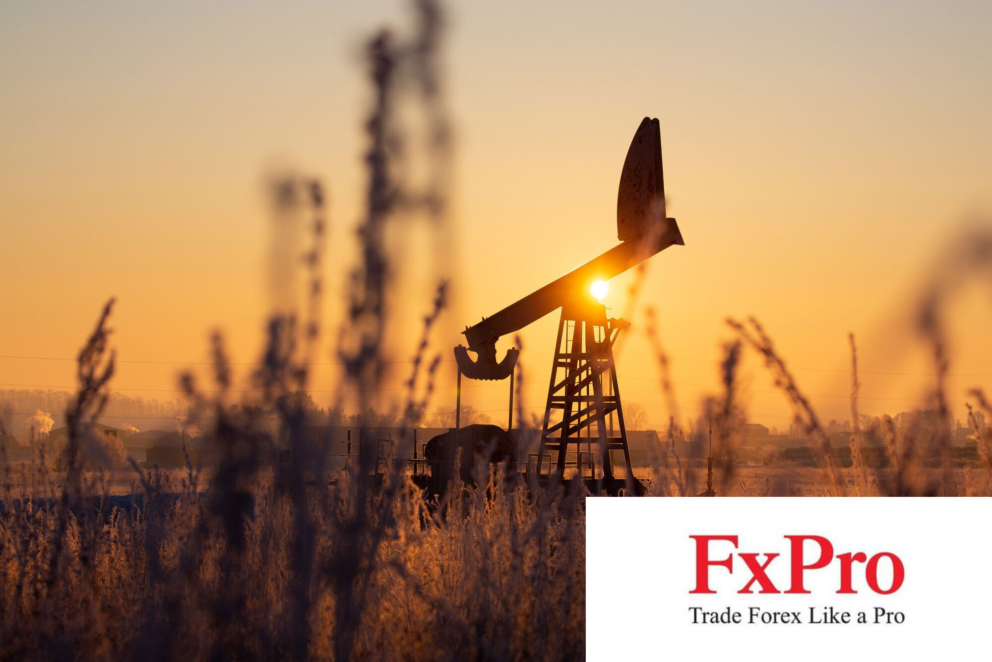 OPEC+ gia hạn cắt giảm nhưng cũng vạch ra kế hoạch đưa một lượng dầu trở lại OPEC+ gia hạn cắt giảm nhưng cũng vạch ra kế hoạch đưa một lượng dầu trở lại